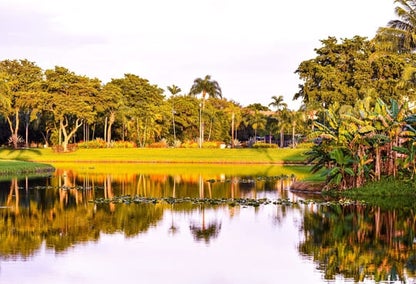 Collier's Reserve Golf course in Florida during the day